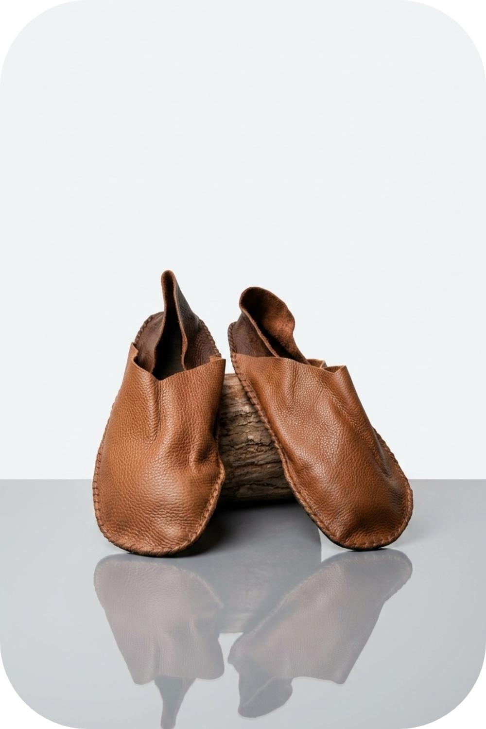 Bee Grounded Men’s & Ladies Leather Grounding Shoes